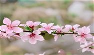 中央重磅文件 | “西部大開發”升級版發布，環境企業有什么機遇？